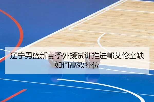 辽宁男篮新赛季外援试训推进郭艾伦空缺如何高效补位